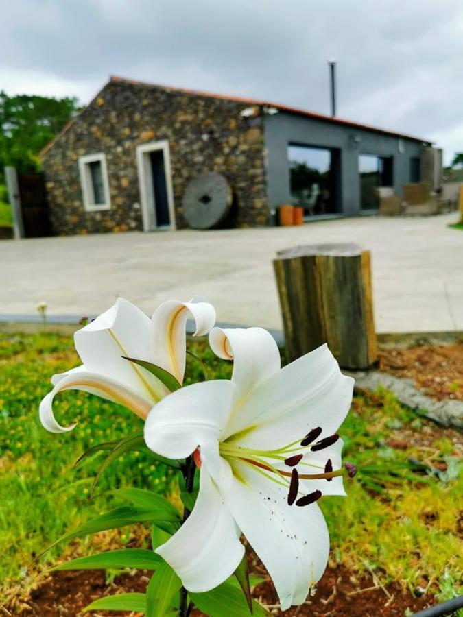 Quinta De Sao Jose Villa Sao Pedro  Dış mekan fotoğraf