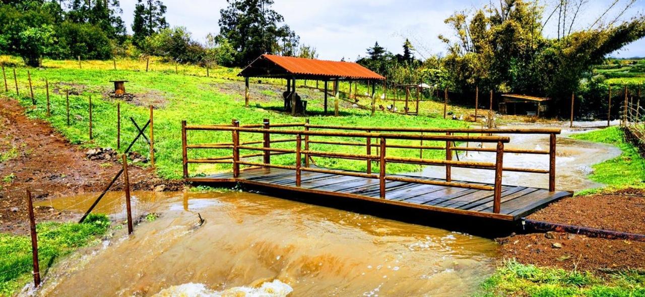 Quinta De Sao Jose Villa Sao Pedro  Dış mekan fotoğraf