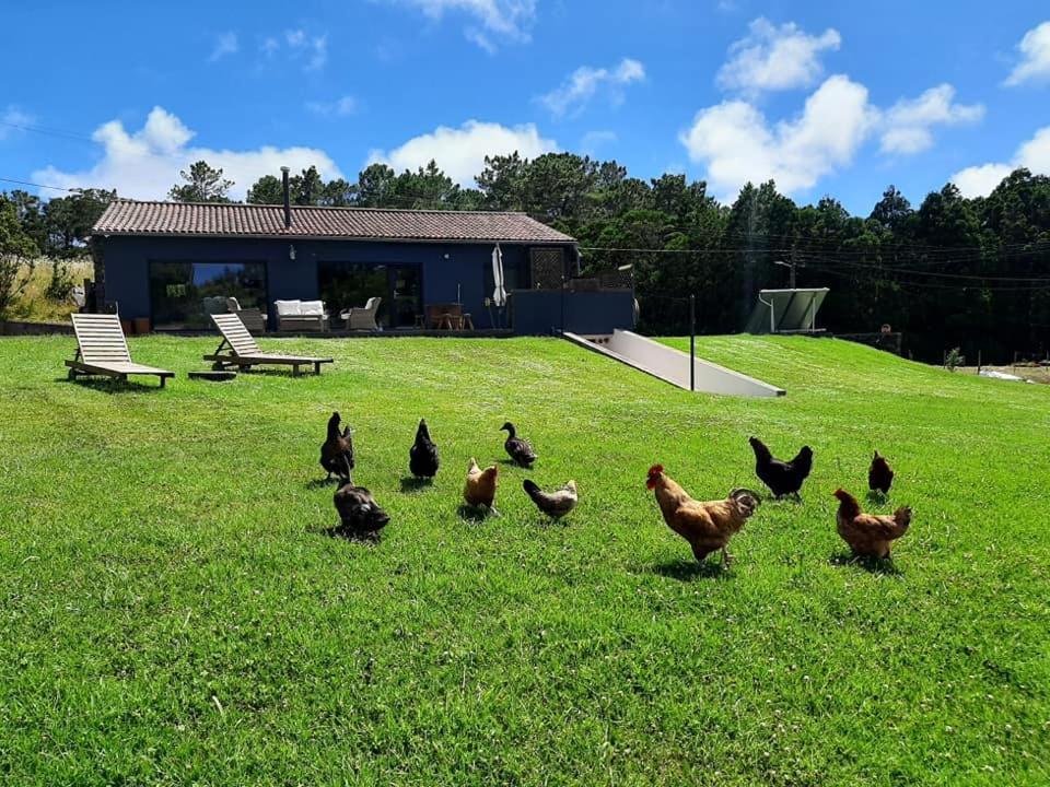 Quinta De Sao Jose Villa Sao Pedro  Dış mekan fotoğraf